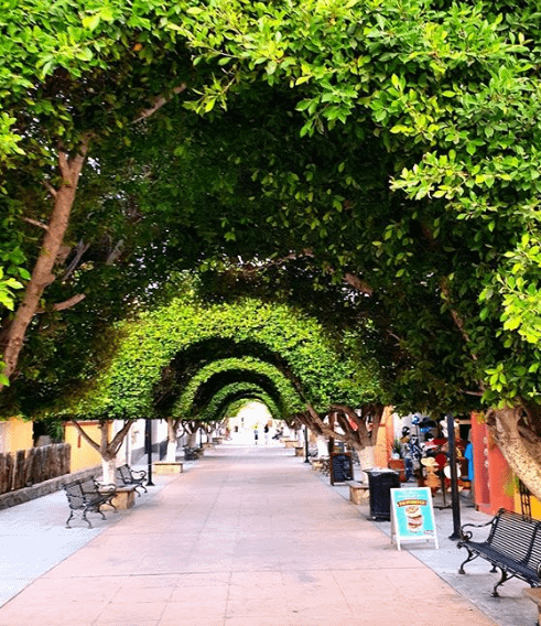 Loreto, BCS